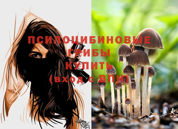 меф Беломорск