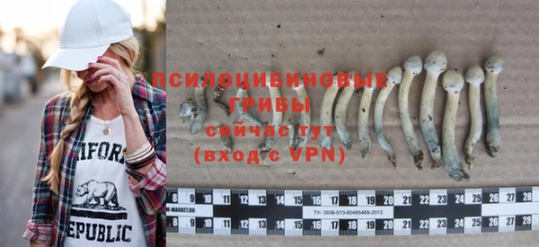 дживик Белоозёрский