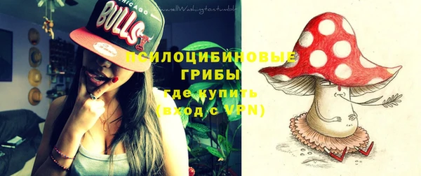 дживик Белоозёрский