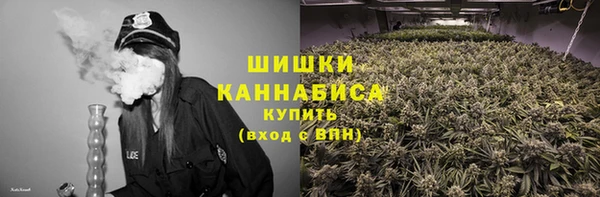дживик Белоозёрский
