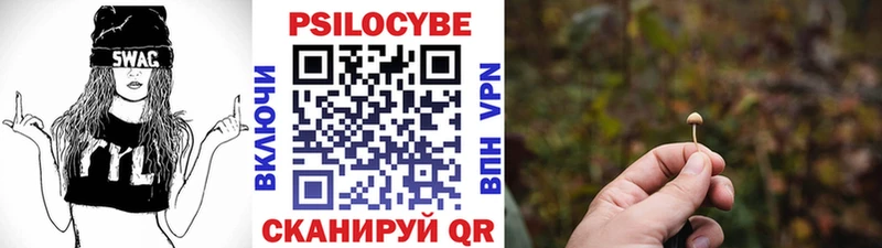 блэк спрут зеркало  Хотьково  Галлюциногенные грибы MAGIC MUSHROOMS 
